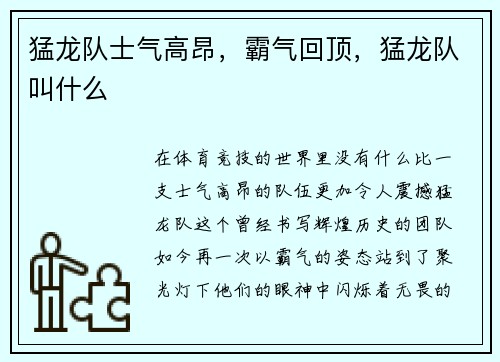 猛龙队士气高昂，霸气回顶，猛龙队叫什么